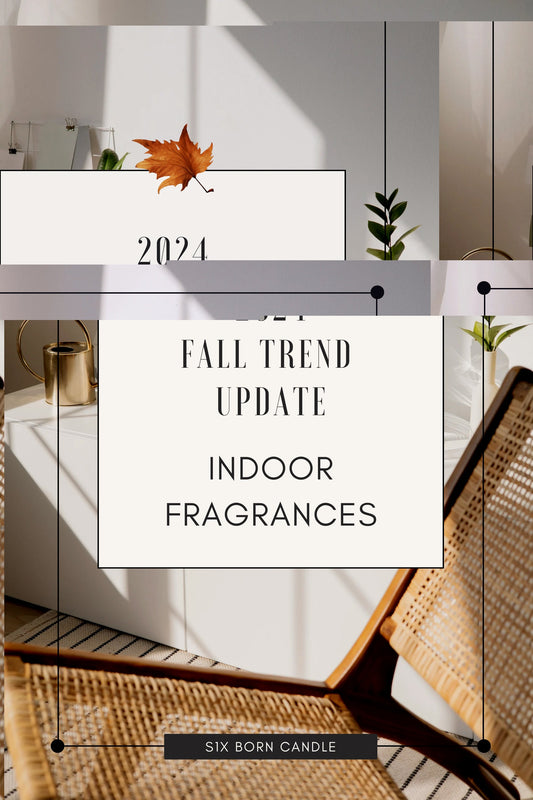 2024 FALL TREND UPDATE